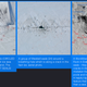 Tomnod seal counting campaign